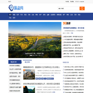 强盗网-电商历史记录站,派代,淘宝,京东,拼多多,抖音等历史文章记录者