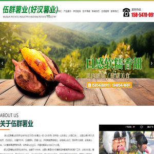 梁山伍群薯业农民专业合作社_梁山好汉薯业农场,徐薯32,济薯26,商薯19,龙薯9号,红香蕉